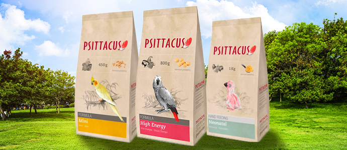 alimentación para aves psittacus