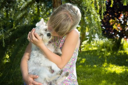 6 consejos para cuidar a tu mascota en verano