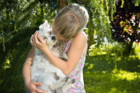 6 consejos para cuidar a tu mascota en verano 2 6 consejos para cuidar a tu mascota en verano