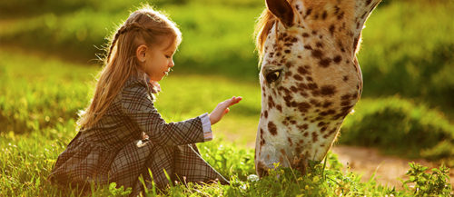 Consejos de alimentación de tu caballo