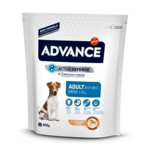 Cómo afecta el cambio de temperatura a mi perro 3 pienso combatir cambio de temperatura