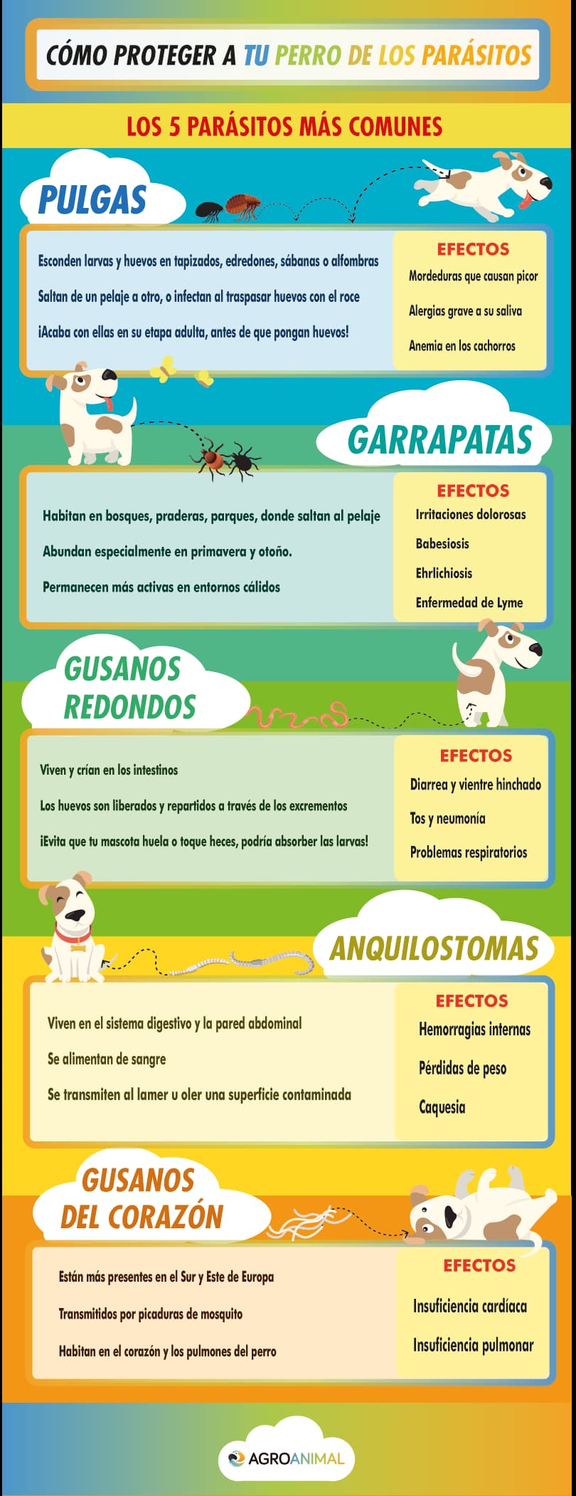 infografia agroanimal parasitos opt 1