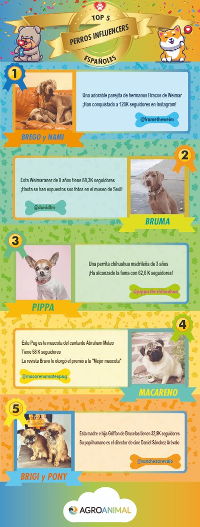 infografia blog agroanimal top 5 perros influencers 1