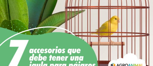 7 accesorios jaula para pájaros