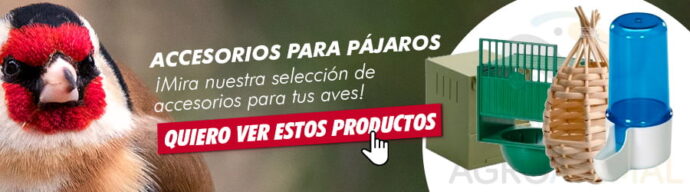 accesorios para pajaros jilgueros