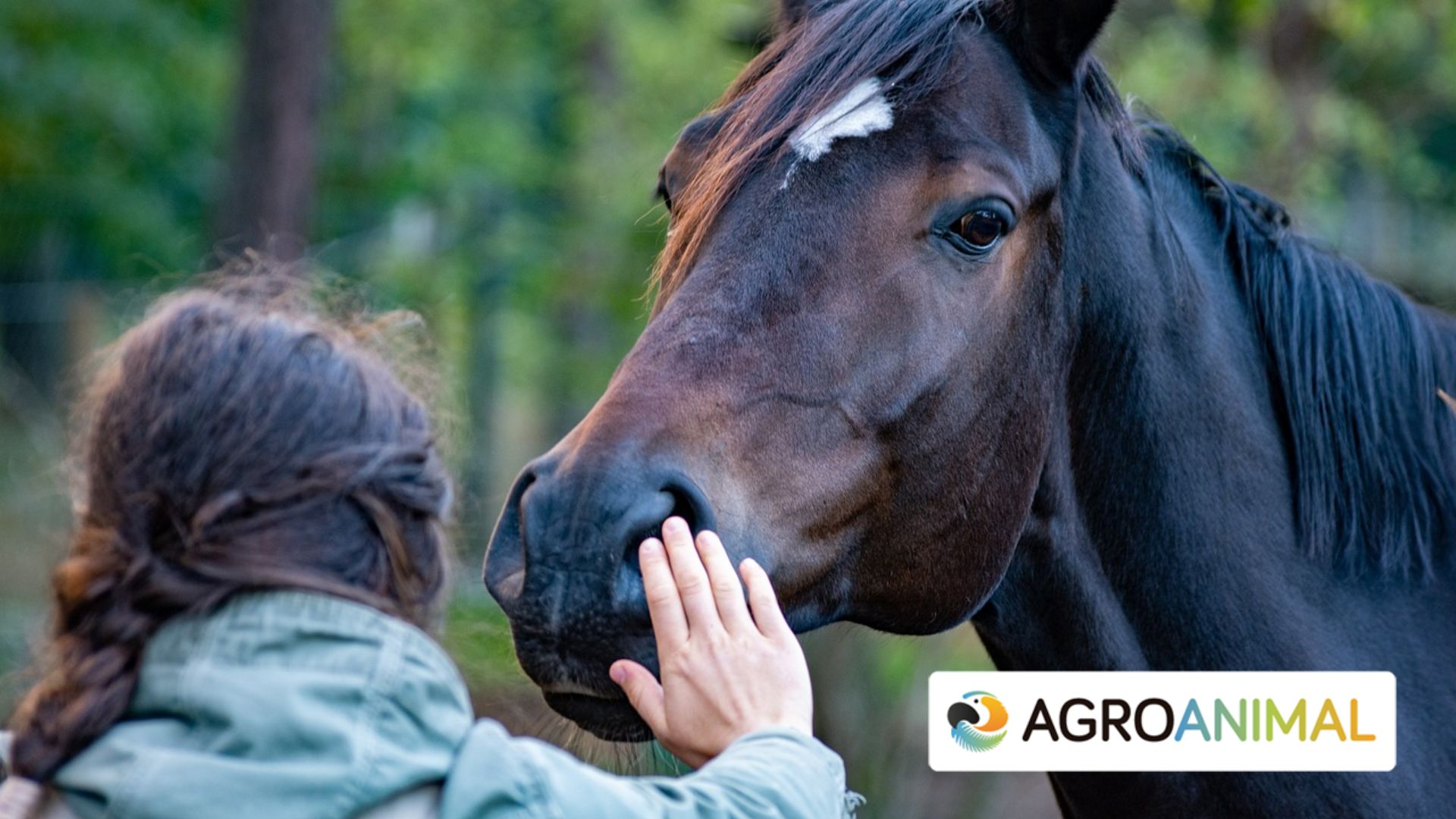 Guía completa para el control de parásitos en caballos