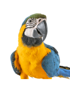 Agroanimal: Tienda online de productos para aves