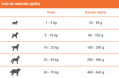 Guía d enutrición adultos