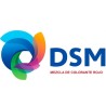 DSM