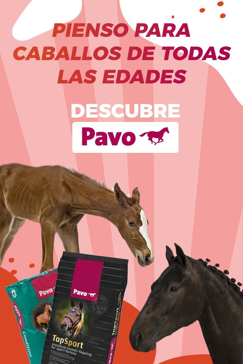 Piensos para caballos de la marca PAVO