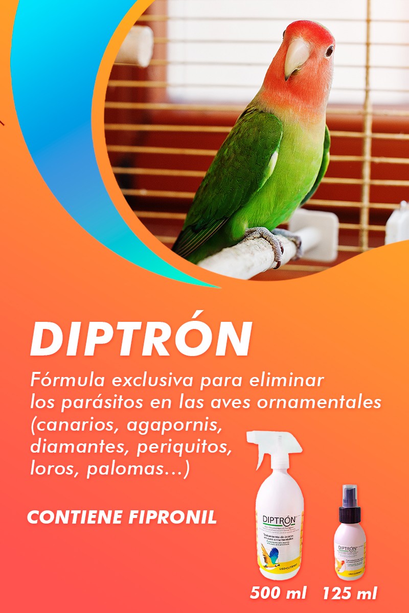 Diptron, solución anti ácaros para aves ornamentales